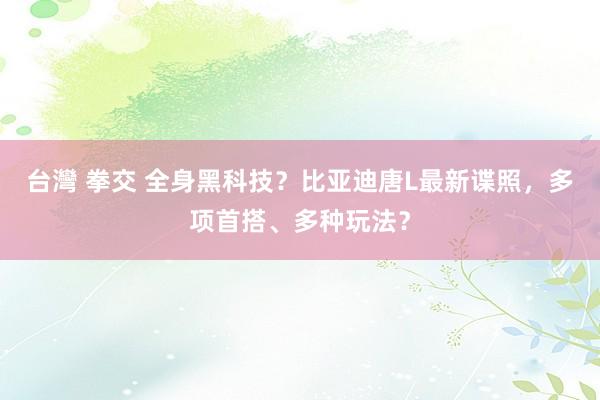 台灣 拳交 全身黑科技？比亚迪唐L最新谍照，多项首搭、多种玩法？