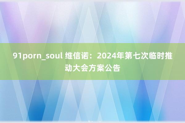 91porn_soul 维信诺：2024年第七次临时推动大会方案公告