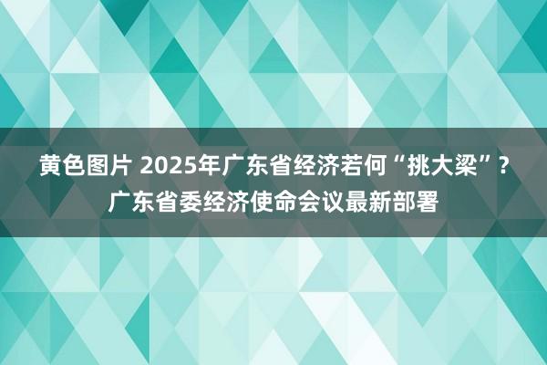 黄色图片 2025年广东省经济若何“挑大梁”？广东省委经济使命会议最新部署