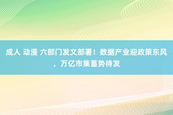 成人 动漫 六部门发文部署！数据产业迎政策东风，万亿市集蓄势待发