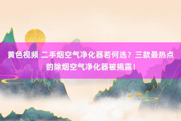 黄色视频 二手烟空气净化器若何选？三款最热点的除烟空气净化器被揭露！