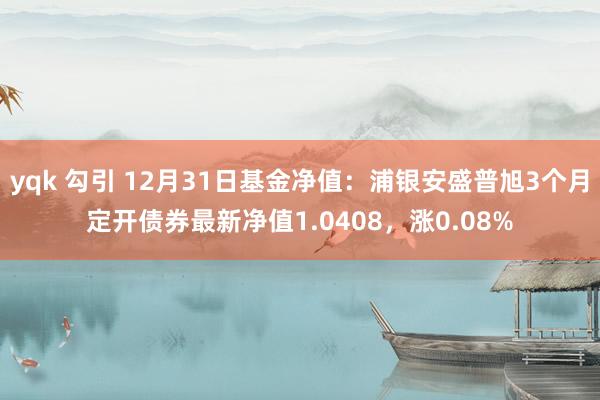 yqk 勾引 12月31日基金净值：浦银安盛普旭3个月定开债券最新净值1.0408，涨0.08%