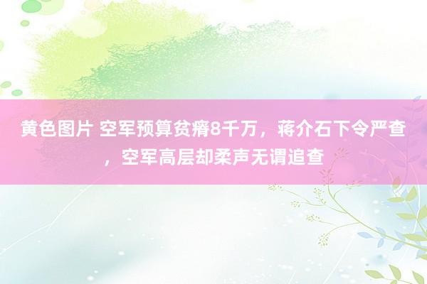 黄色图片 空军预算贫瘠8千万，蒋介石下令严查，空军高层却柔声无谓追查