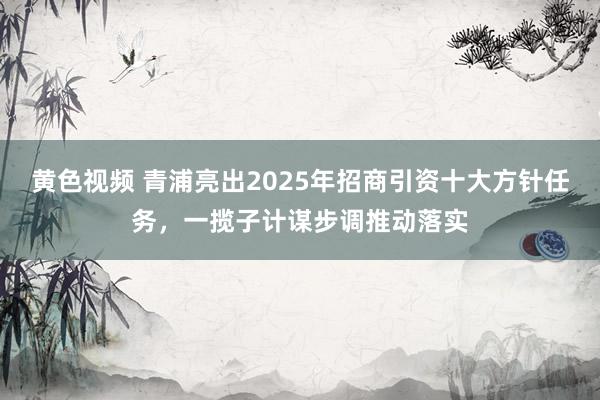 黄色视频 青浦亮出2025年招商引资十大方针任务，一揽子计谋步调推动落实