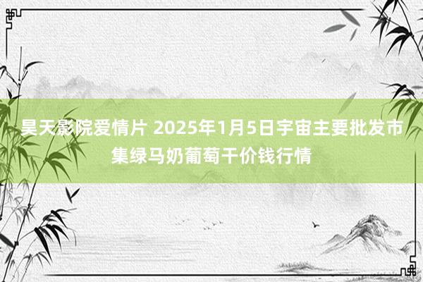 昊天影院爱情片 2025年1月5日宇宙主要批发市集绿马奶葡萄干价钱行情