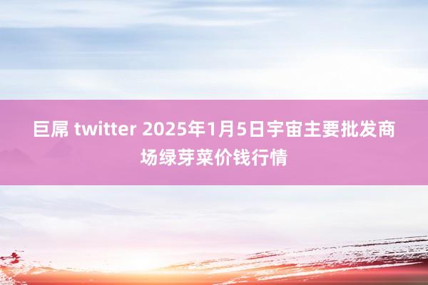 巨屌 twitter 2025年1月5日宇宙主要批发商场绿芽菜价钱行情