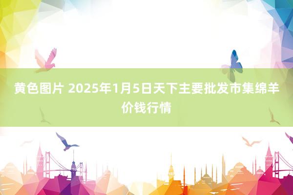 黄色图片 2025年1月5日天下主要批发市集绵羊价钱行情