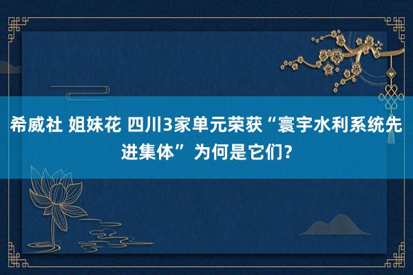 希威社 姐妹花 四川3家单元荣获“寰宇水利系统先进集体” 为何是它们？