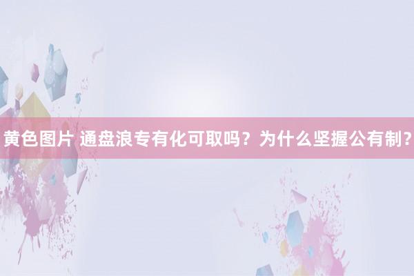 黄色图片 通盘浪专有化可取吗？为什么坚握公有制？