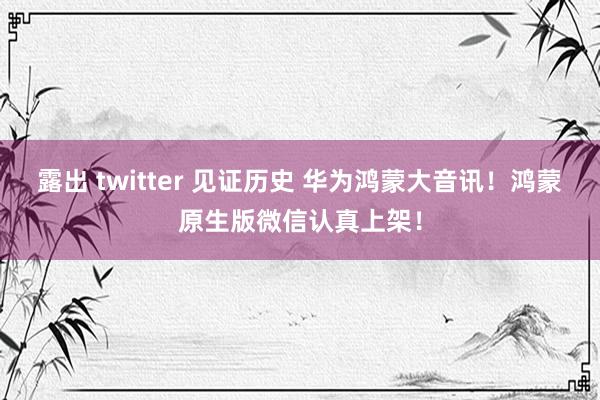 露出 twitter 见证历史 华为鸿蒙大音讯！鸿蒙原生版微信认真上架！