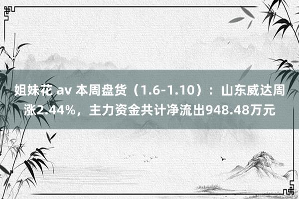 姐妹花 av 本周盘货（1.6-1.10）：山东威达周涨2.44%，主力资金共计净流出948.48万元