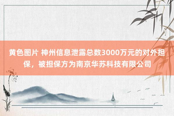 黄色图片 神州信息泄露总数3000万元的对外担保，被担保方为南京华苏科技有限公司