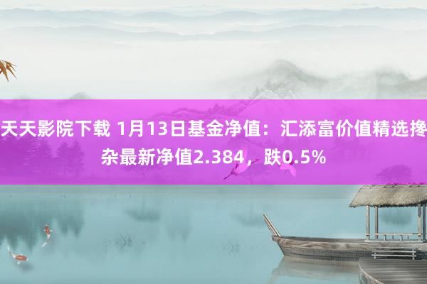 天天影院下载 1月13日基金净值：汇添富价值精选搀杂最新净值2.384，跌0.5%