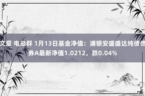 文爱 电报群 1月13日基金净值：浦银安盛盛达纯债债券A最新净值1.0212，跌0.04%