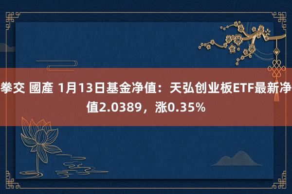 拳交 國產 1月13日基金净值：天弘创业板ETF最新净值2.0389，涨0.35%