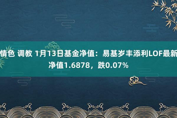 情色 调教 1月13日基金净值：易基岁丰添利LOF最新净值1.6878，跌0.07%