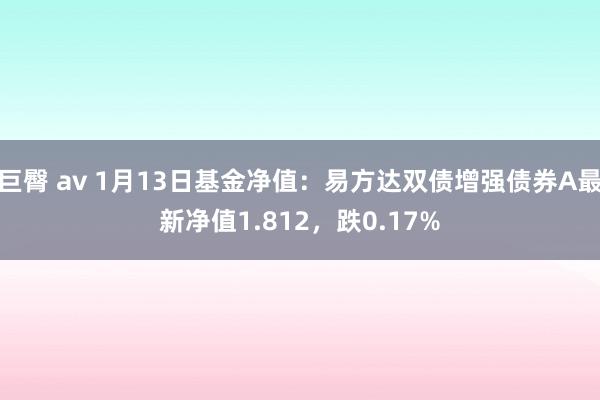 巨臀 av 1月13日基金净值：易方达双债增强债券A最新净值1.812，跌0.17%