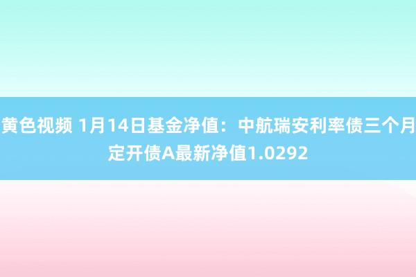 黄色视频 1月14日基金净值：中航瑞安利率债三个月定开债A最新净值1.0292