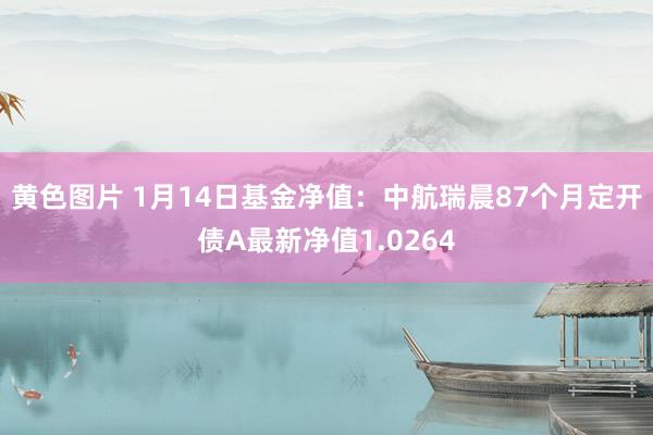 黄色图片 1月14日基金净值：中航瑞晨87个月定开债A最新净值1.0264