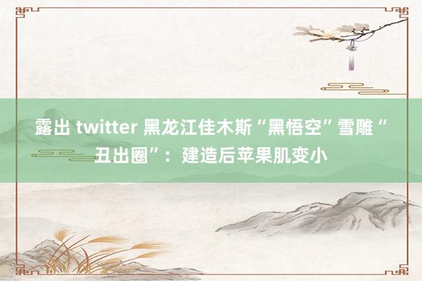 露出 twitter 黑龙江佳木斯“黑悟空”雪雕“丑出圈”：