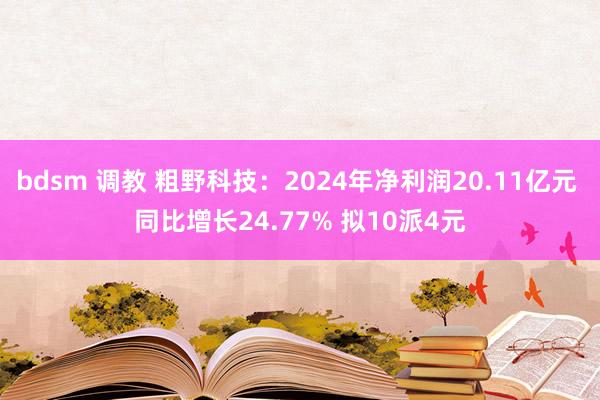 bdsm 调教 粗野科技：2024年净利润20.11亿元 同