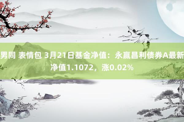 男同 表情包 3月21日基金净值：永赢昌利债券A最新净值1.1072，涨0.02%